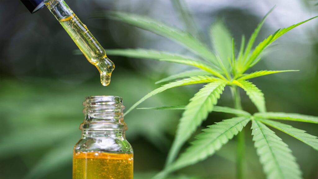 cbd oil