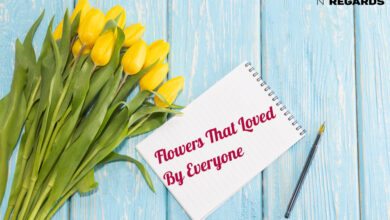 Flowers That Loved By Everyone - Withlovenregards