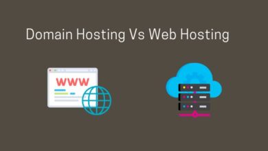 domain hosting vs web hosting