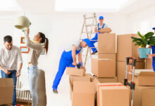 moving companies tampa