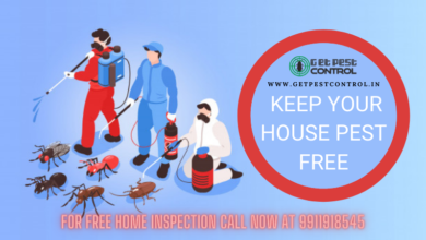Best Way to Keep Your House Pest-Free