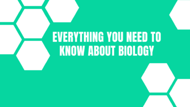 Everything You Need to Know About Biology