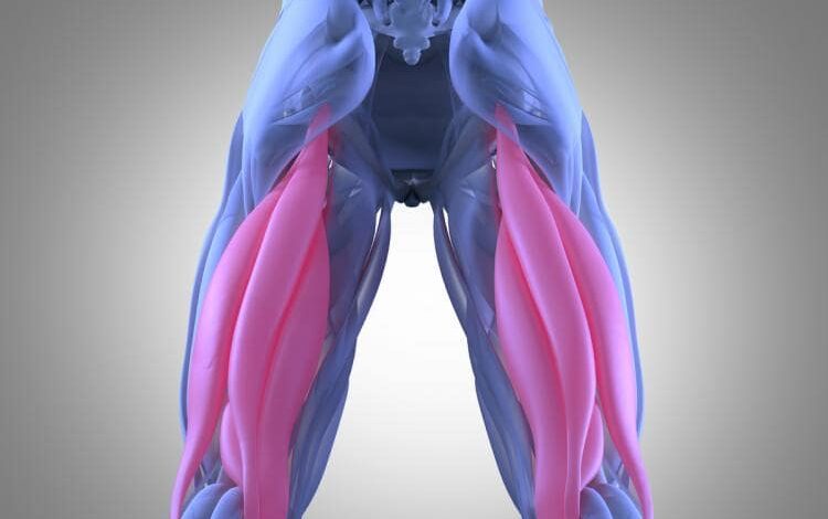 Pulled Hamstring