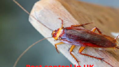 What is the worth for pest control in London?