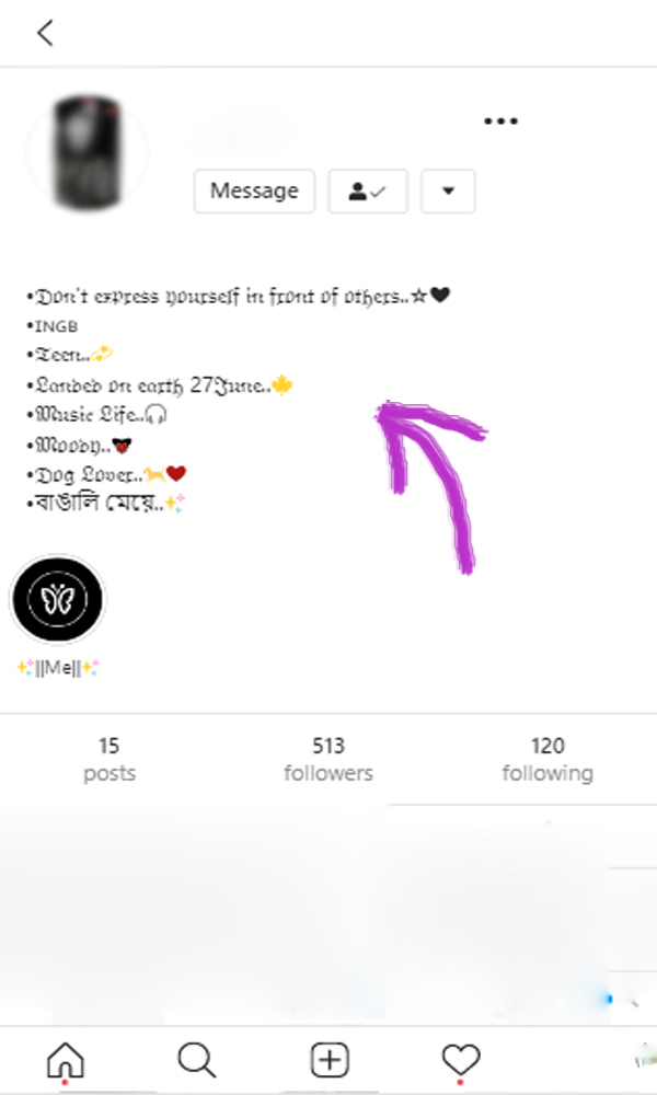 font for instagram bio online