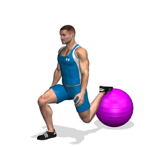 squat with fitball 