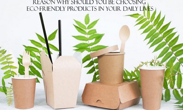 Reason Why Should You Be Choosing Eco-Friendly Products In Your Daily Lives
