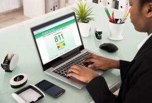 Credit Score