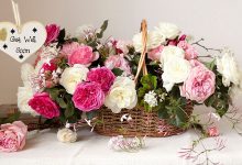 get well soon flowers- Wish Them a Quick Recovery with These Get Well Soon Flowers