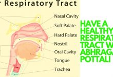 HAVE A HEALTHY RESPIRATORY TRACT WITH ABHRAGARBHA POTTALI