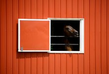 Top Reasons Why Metal Horse Barns are Gaining Popularity