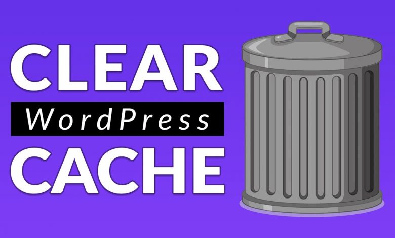 WordPress Website Cache