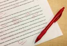 mistakes in essay writing