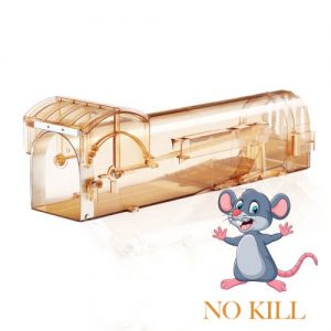 mouse trap no kill