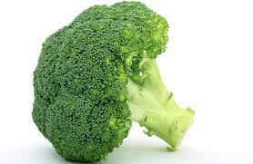 Broccoli-weight-loss-food