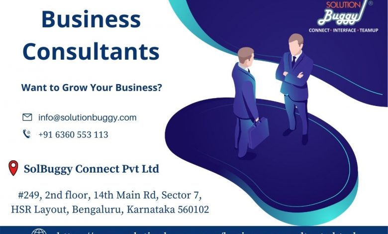 Business Consultants