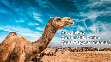 How to Buy Camel Milk Online (and Why You need to)