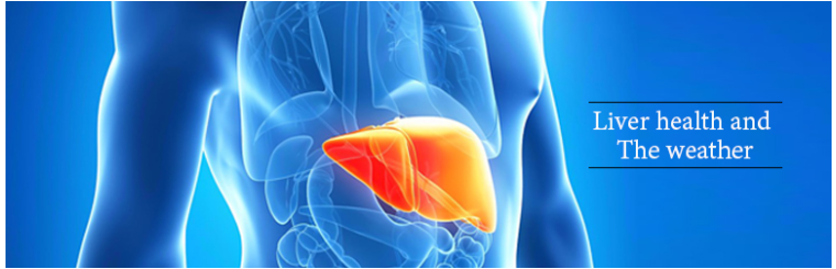 liver transplant treatment in India