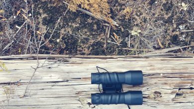 how to clean and maintain your binoculars