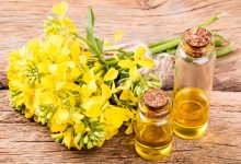 How To Use Canola Oil Before Shampooing?