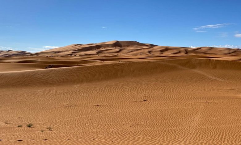 thing to do in merzouga