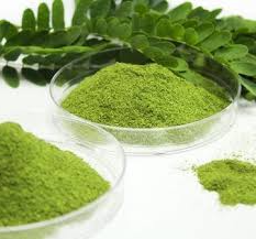 Moringa Leaf Powder