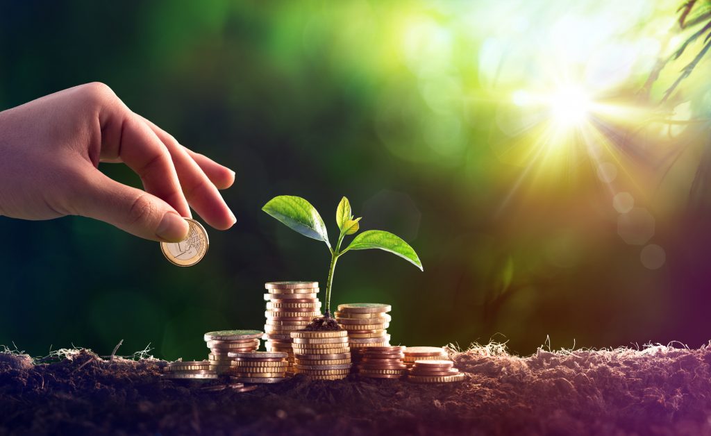 financial planning