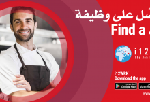 Best Jobs in UAE for Freshers - i12wrk