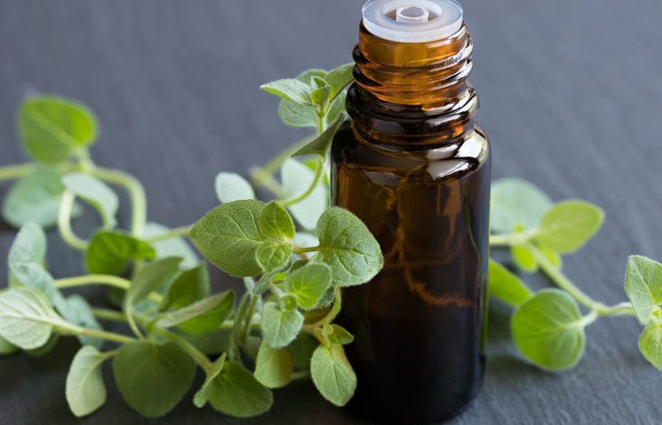 Oregano Oil: One of the Most Powerful Natural Antibiotics