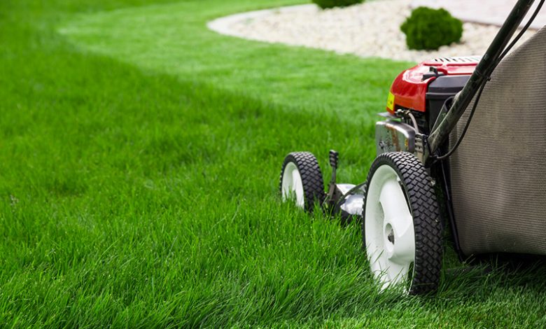 landscaping services