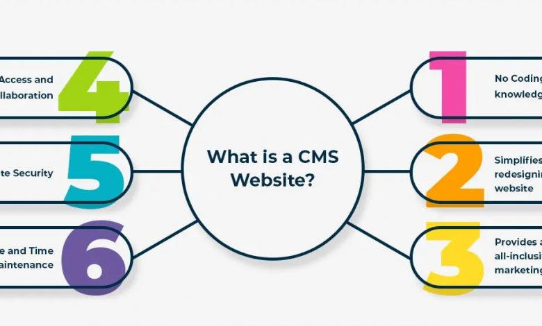 CMS Website Infographic