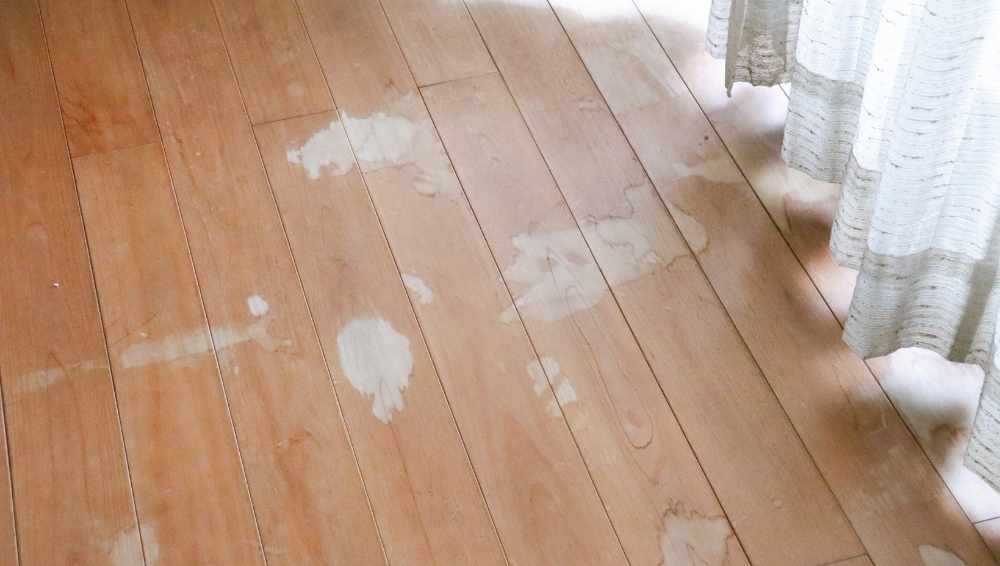 Spot the stains