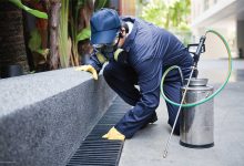 Professional Pest Control Services