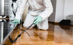 Professional Pest Control Services