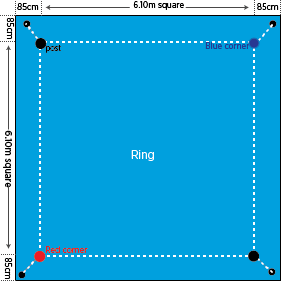best pro boxing ring