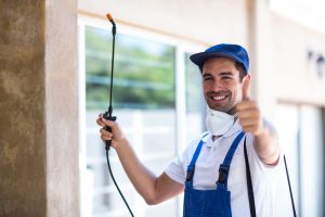 Professional Pest Control Services