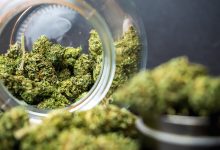 how to get medical marijuana in washington dc