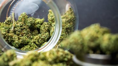 how to get medical marijuana in washington dc