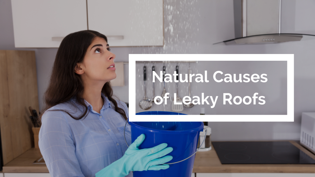 Natural Causes of Leaky Roof