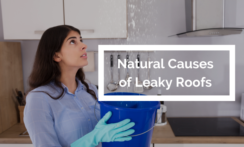 Natural Causes of Leaky Roof