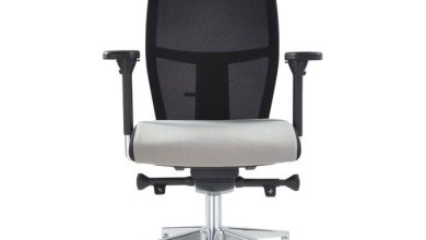 Best Nomique Chairs For Home & Office 