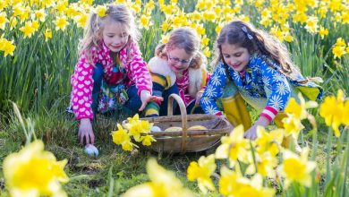 Top Things to Do for Easter Weekend in the United States