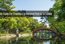 Ultimate Guide For Travellers to National Park in Sri Lanka