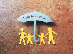 insured family
