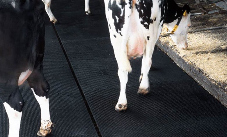 rubber mats in dairy
