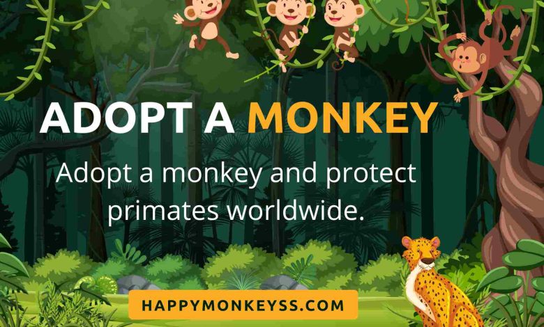 Adopt a monkey