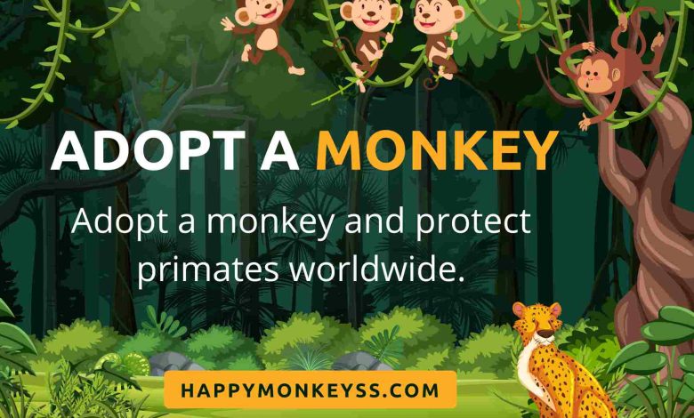 Adopt a monkey