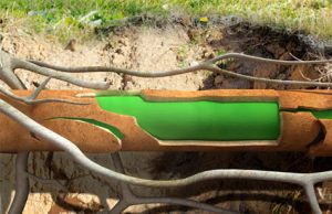 blocked drains
