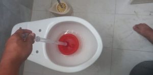 plunger 