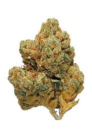 White wookies Strain